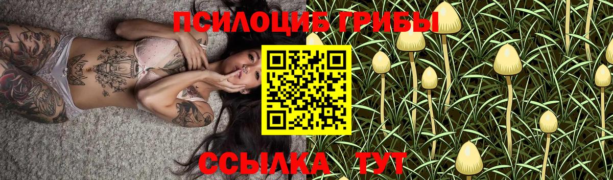 Галлюциногенные грибы мухоморы Североуральск
